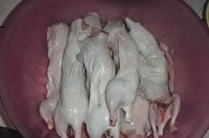 �麣������