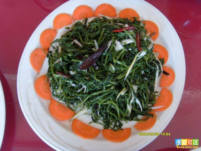 ����ɽҰ�� 