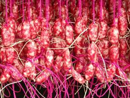 ̨�Ϻ����㳦 