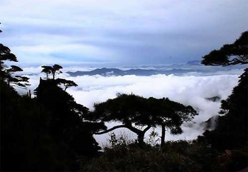 �����ƺ�