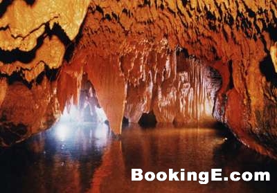 �������Ҷ�