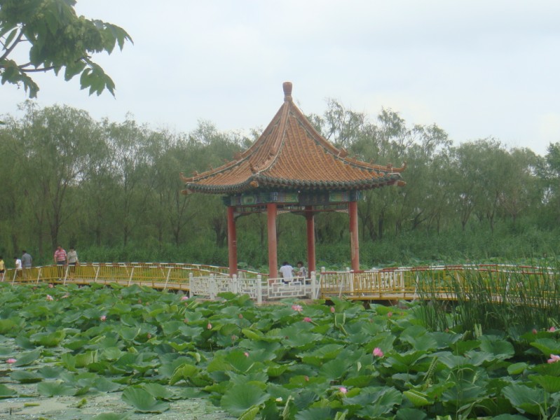 ��ɽ������