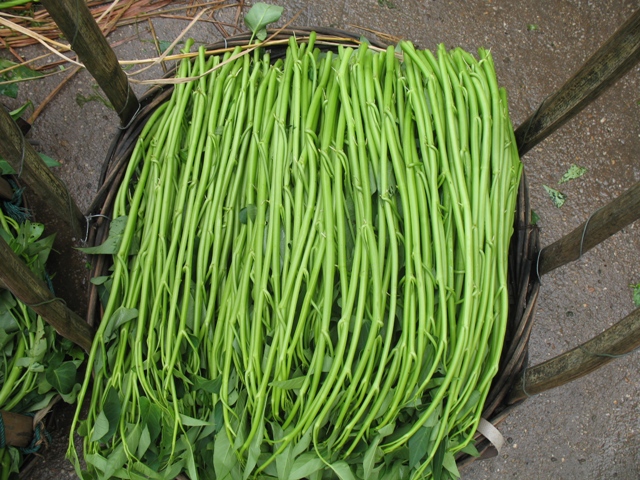 �����ز�֮����޳��