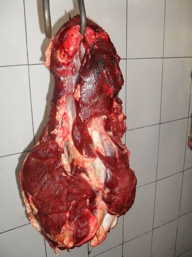 ��ף����ţ��