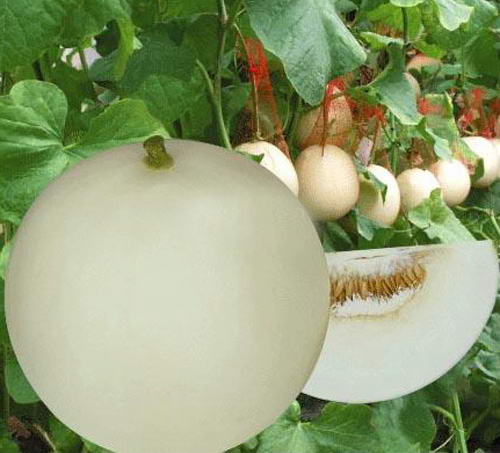 �ͼ۹�Ӧ�����ز������