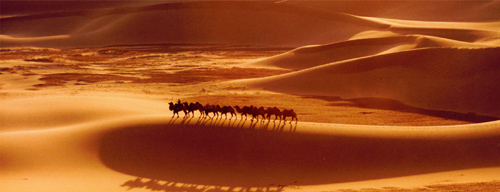 ��������ɳĮ��̬������