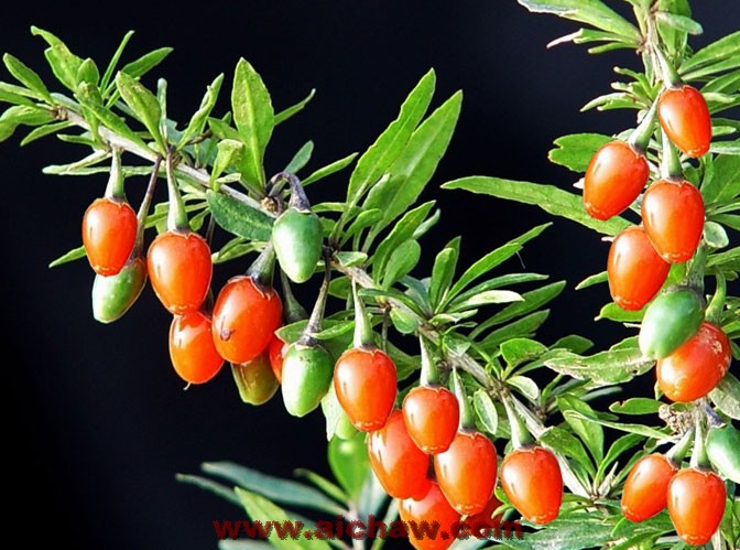 ��������ز������