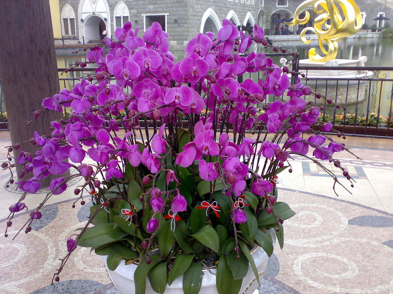  ��ֲ����ֲ��������ֲ���ۡ���ֲ��������ֲ��ڡ�