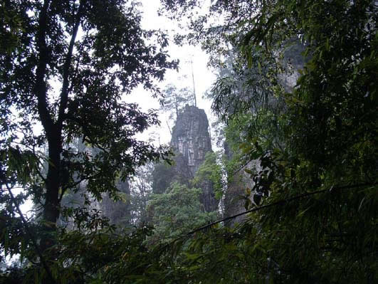 ����˫���ܶ������й�50����ֵ��ȥ�ط�֮һ